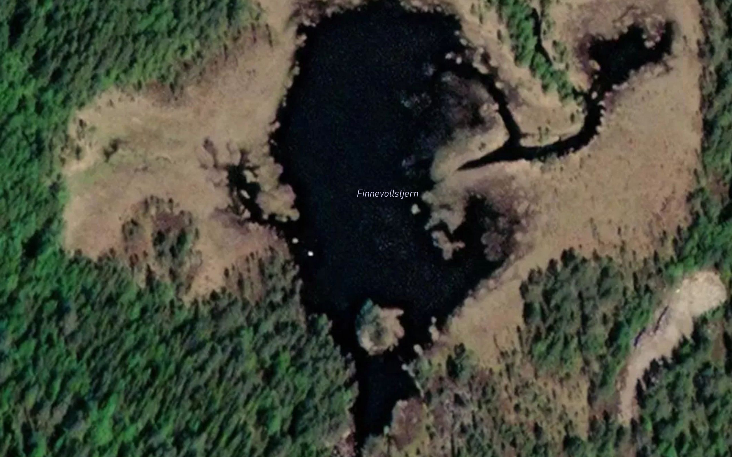 Finnevollstjernet