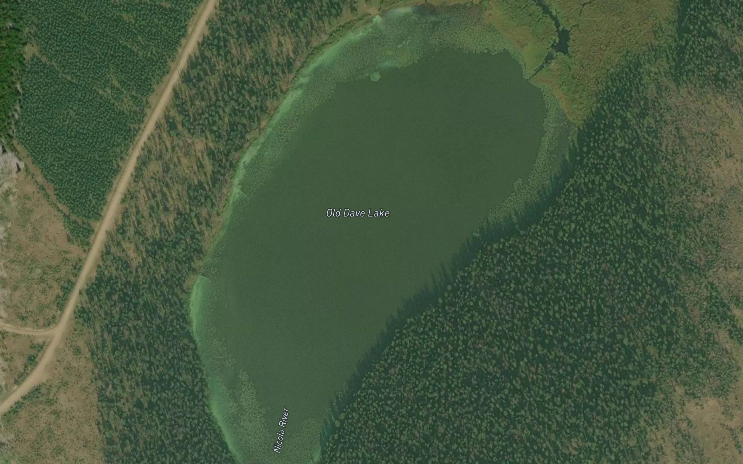 Old Dave Lake