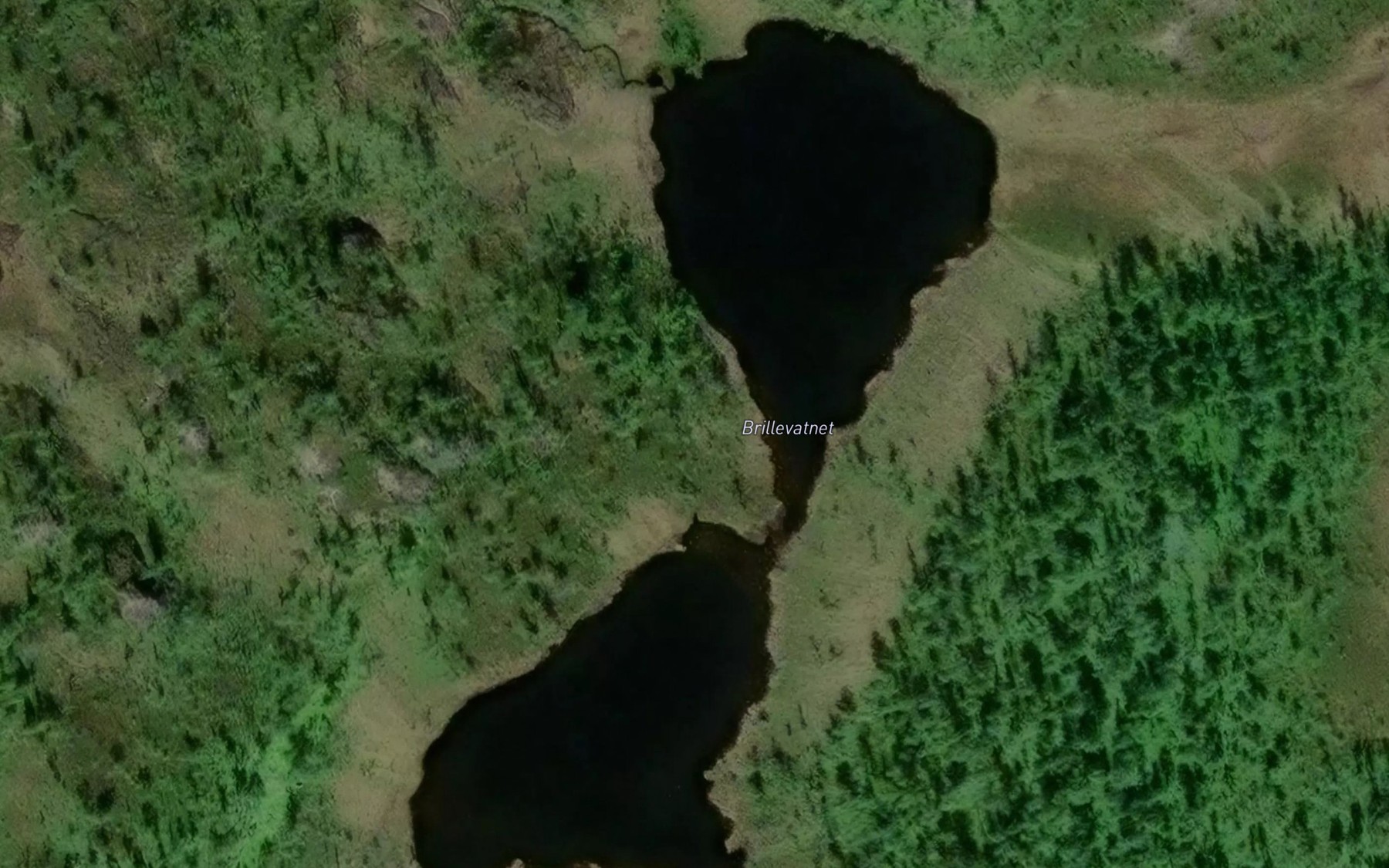 Satellite map of the Brillevatnet