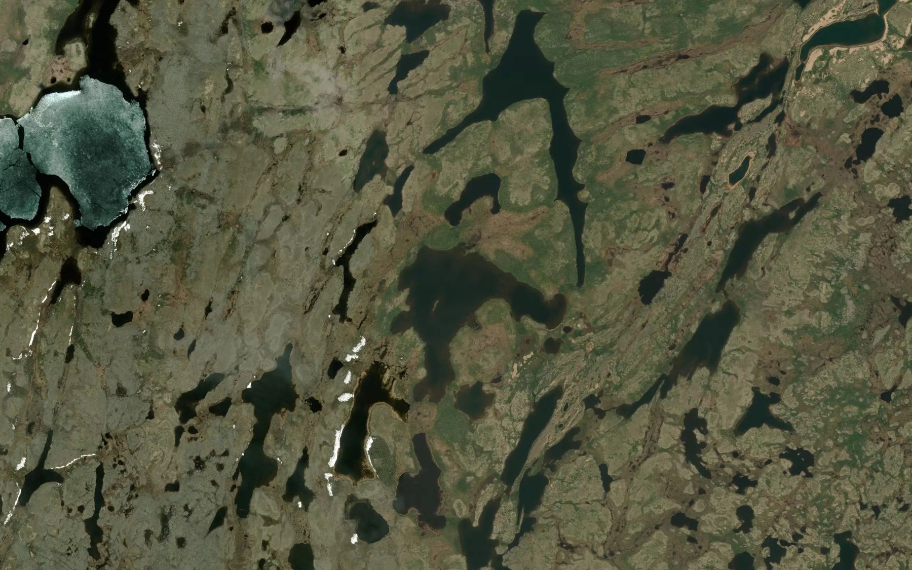 Satellite map of the Lazenby Lake