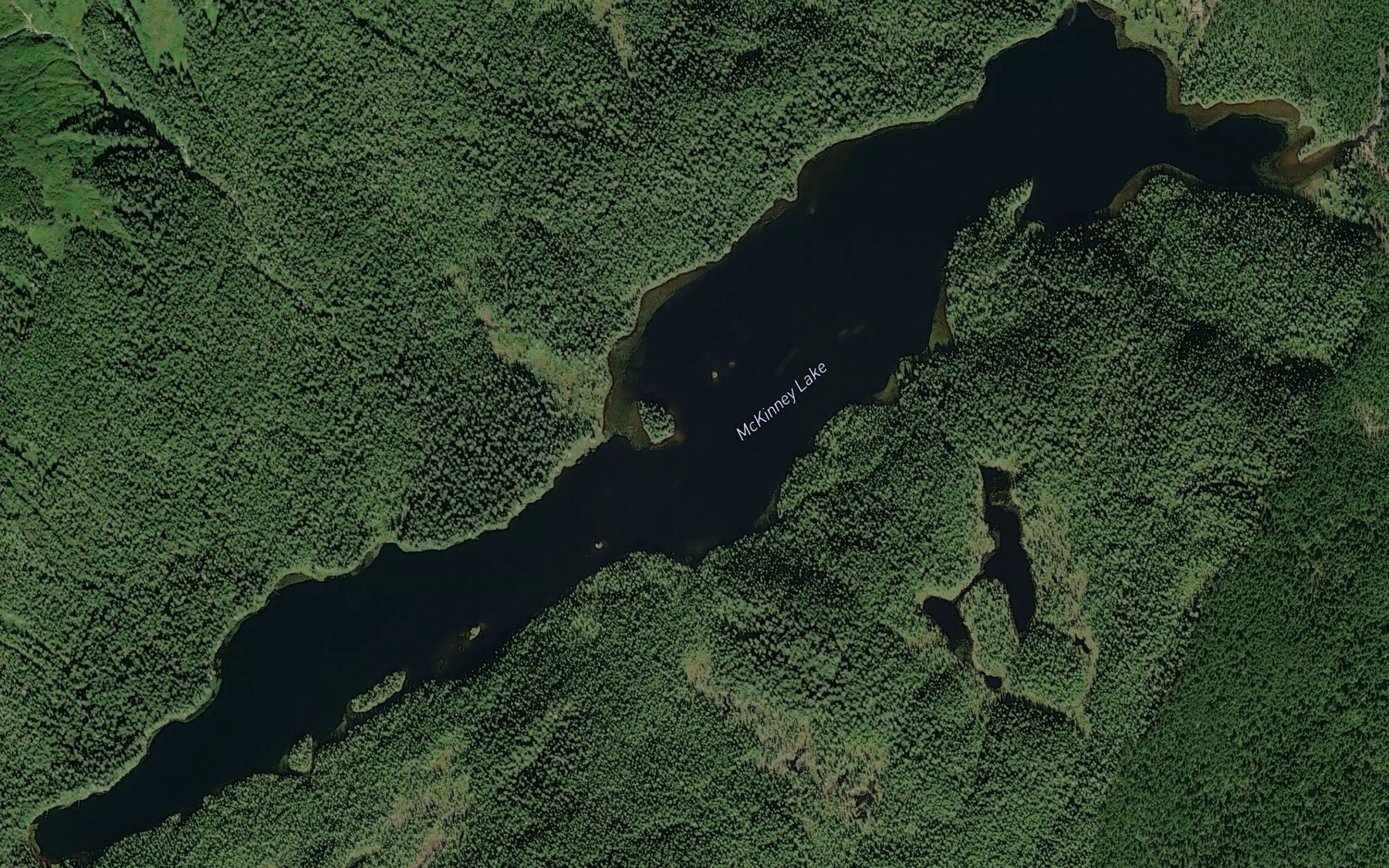 Satellite map of the McKinney Lake