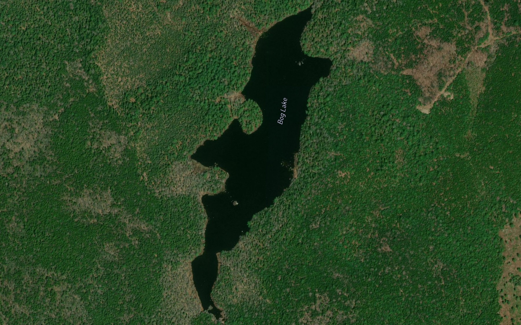 Satellite map of the Bog Lake