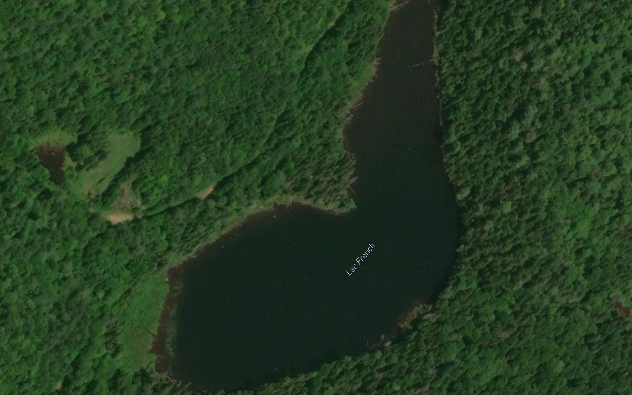 Lac French