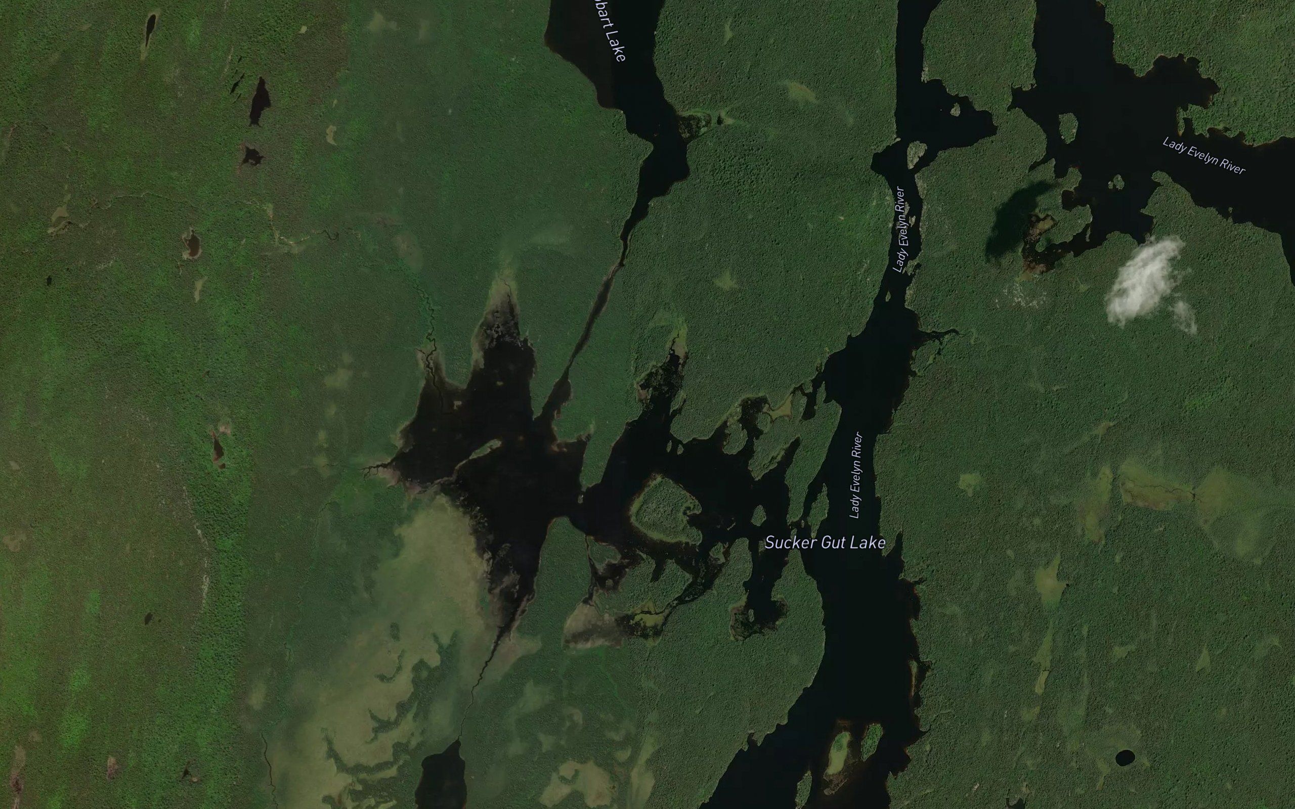 Willow Island Creek