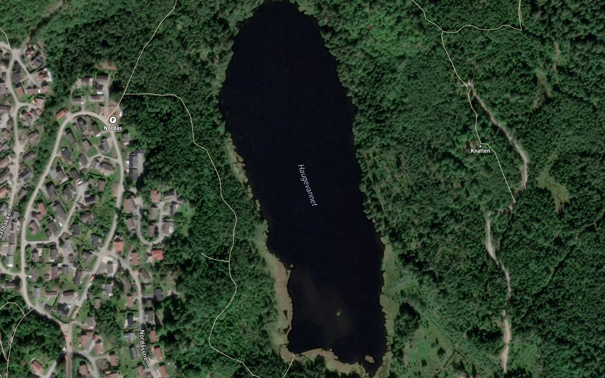 Haugevannet