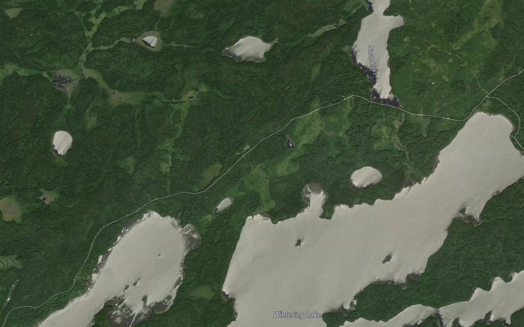 Satellite map of the Duck Pond