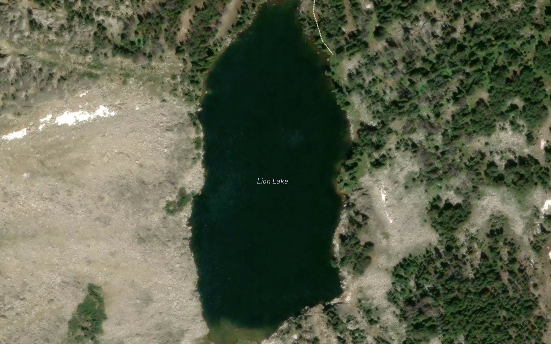 Satellite map of the Lion Lake