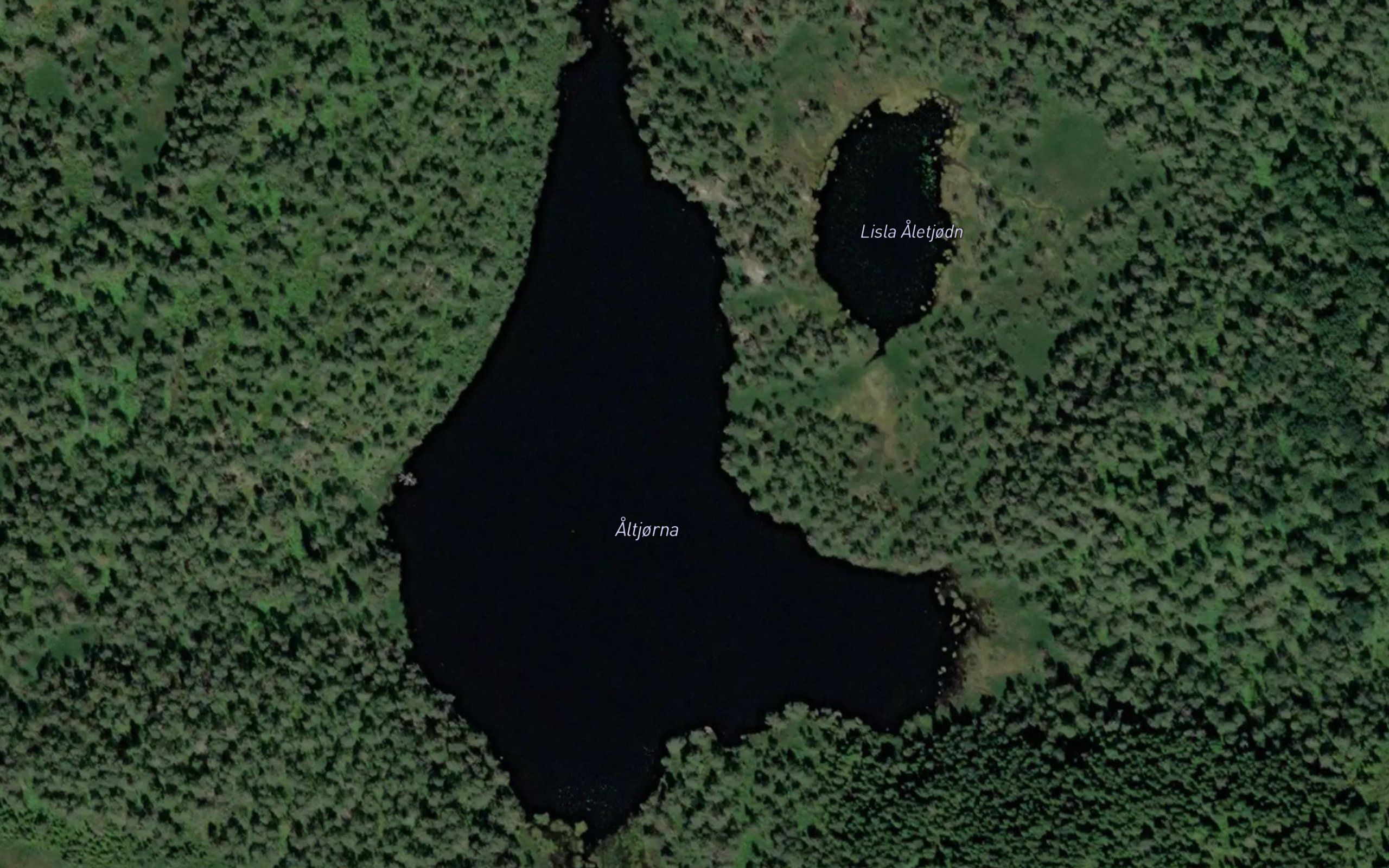 Altjorna