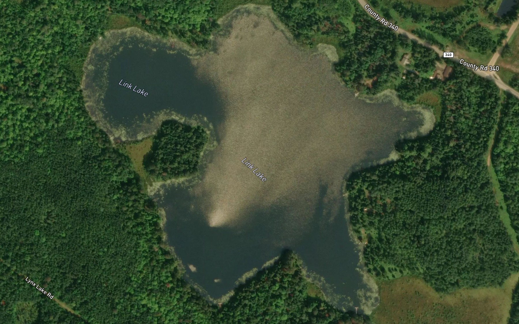 Satellite map of the Link Lake