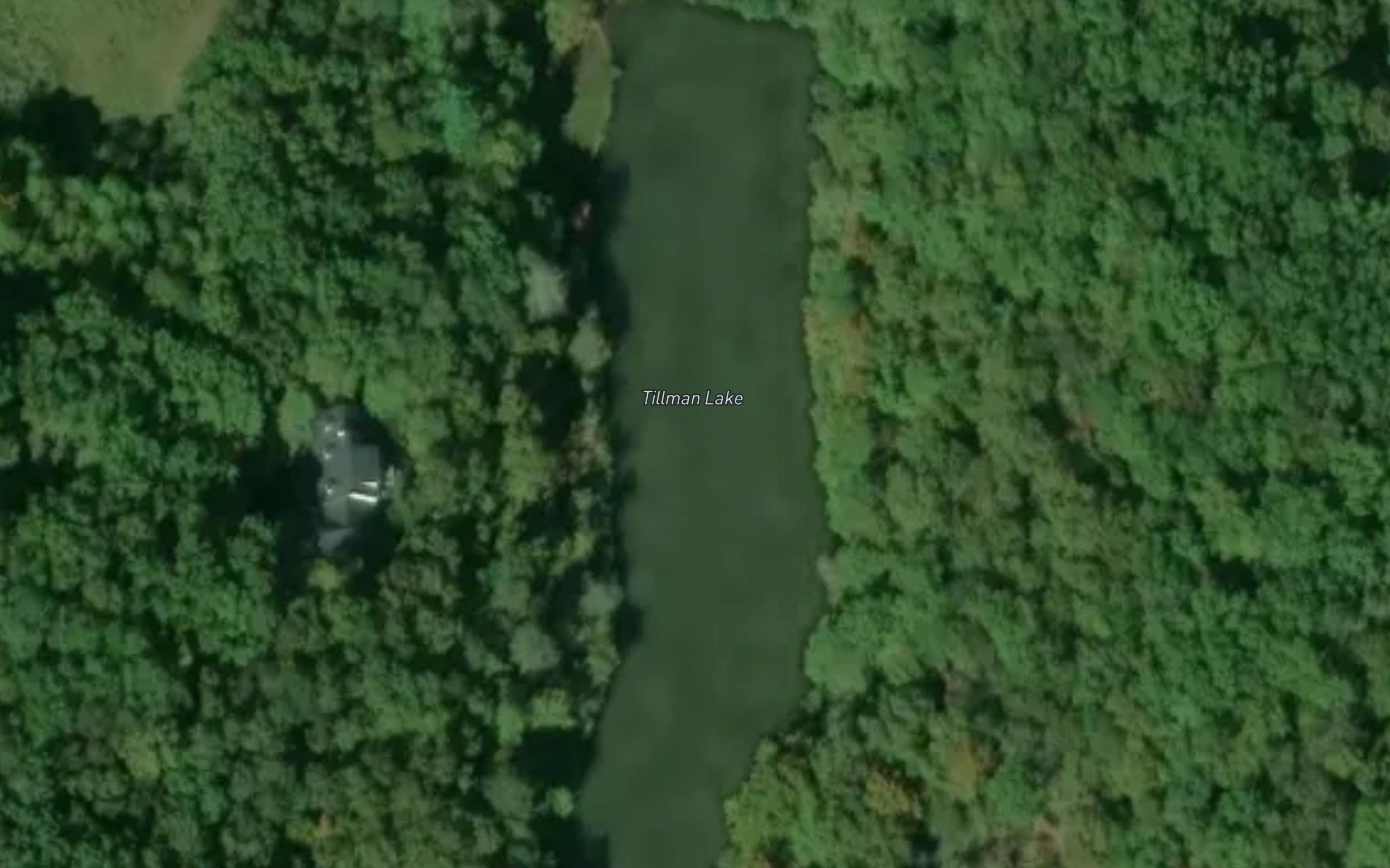 Tillman Lake