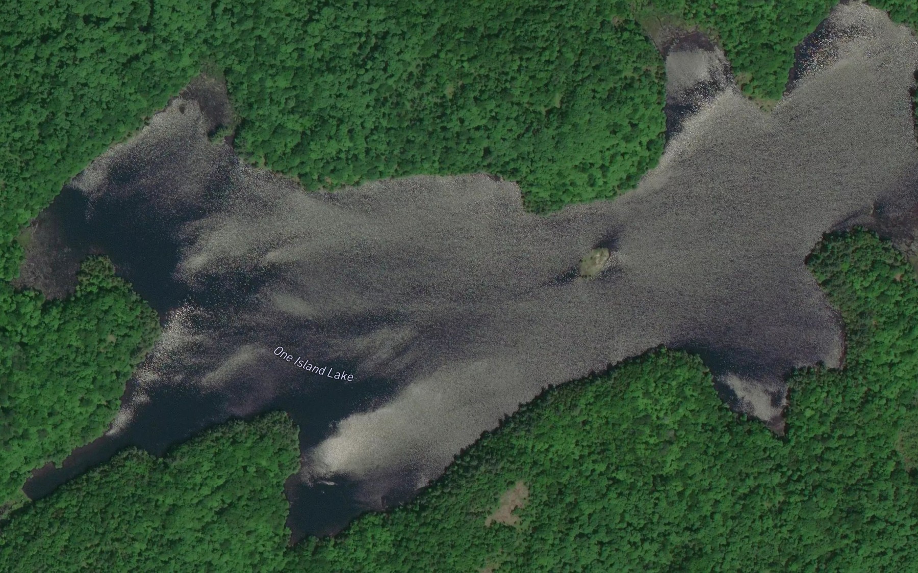 Satellite map of the One Island Lake