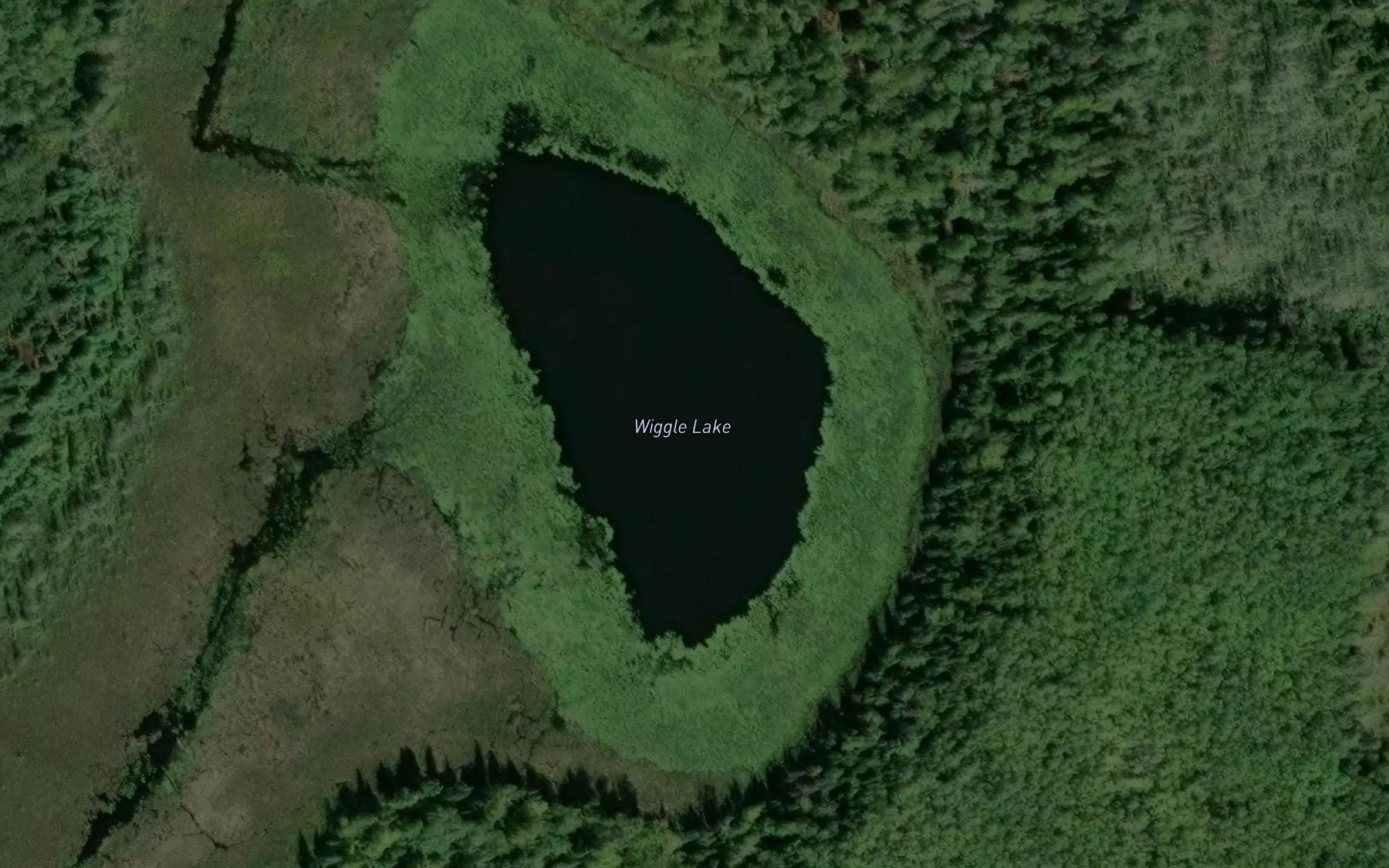 Satellite map of the Wiggle Lake