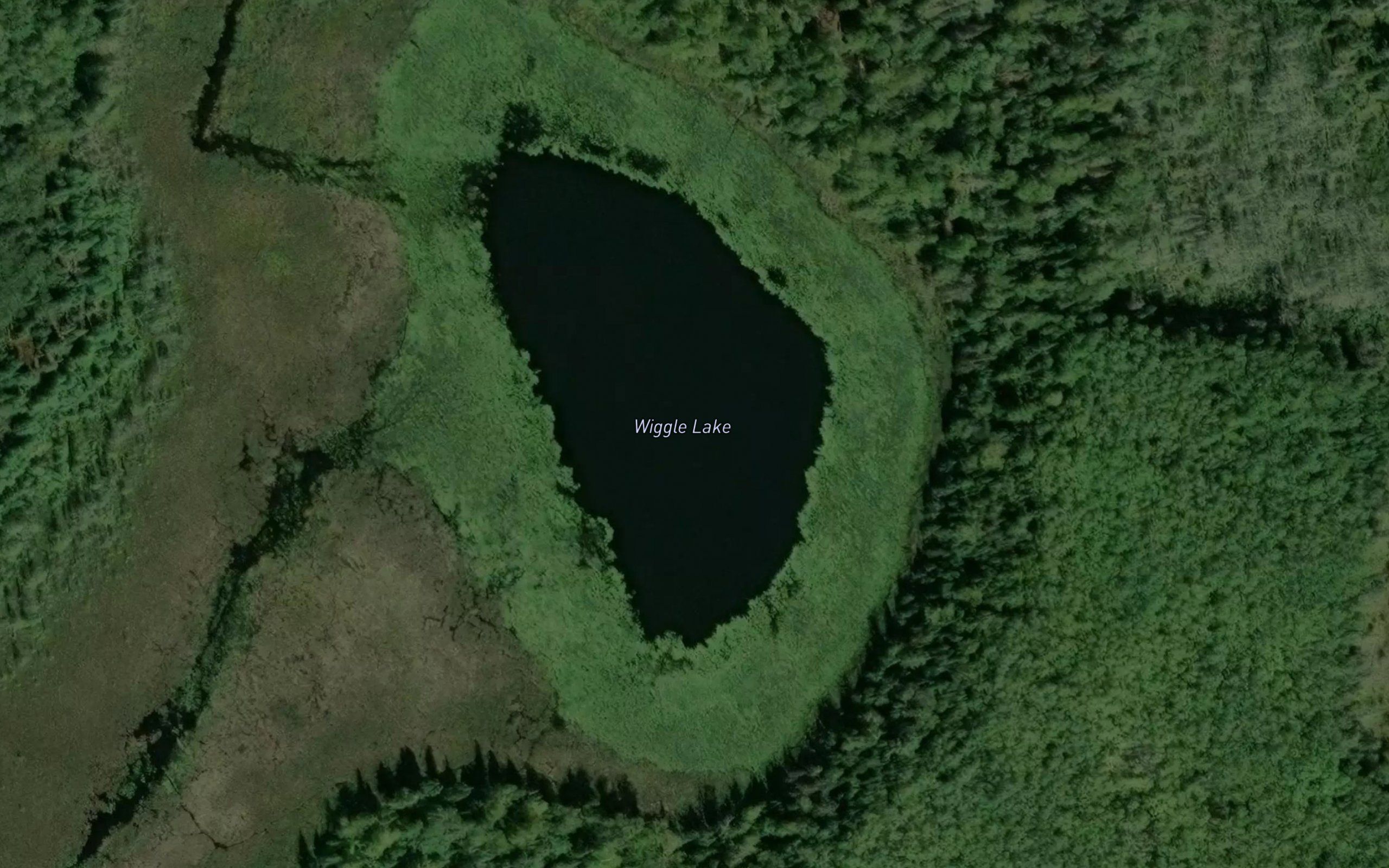 Wiggle Lake