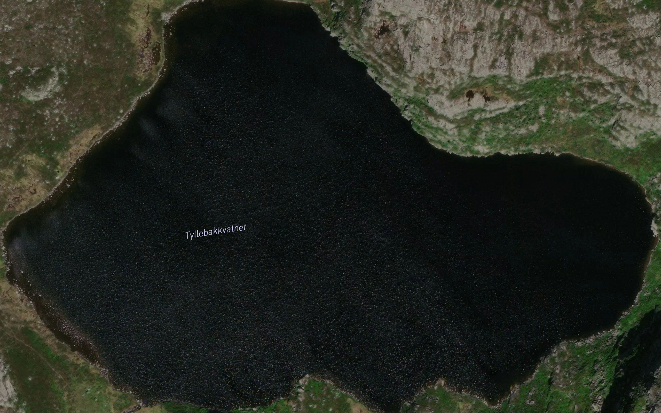 Tyllebakkvatnet