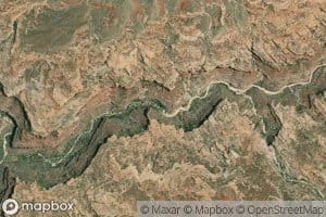 Mountain Sheep Spring