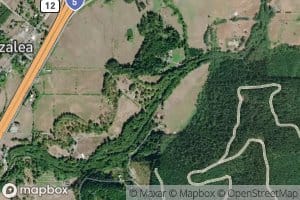 Niday Branch Cow Creek