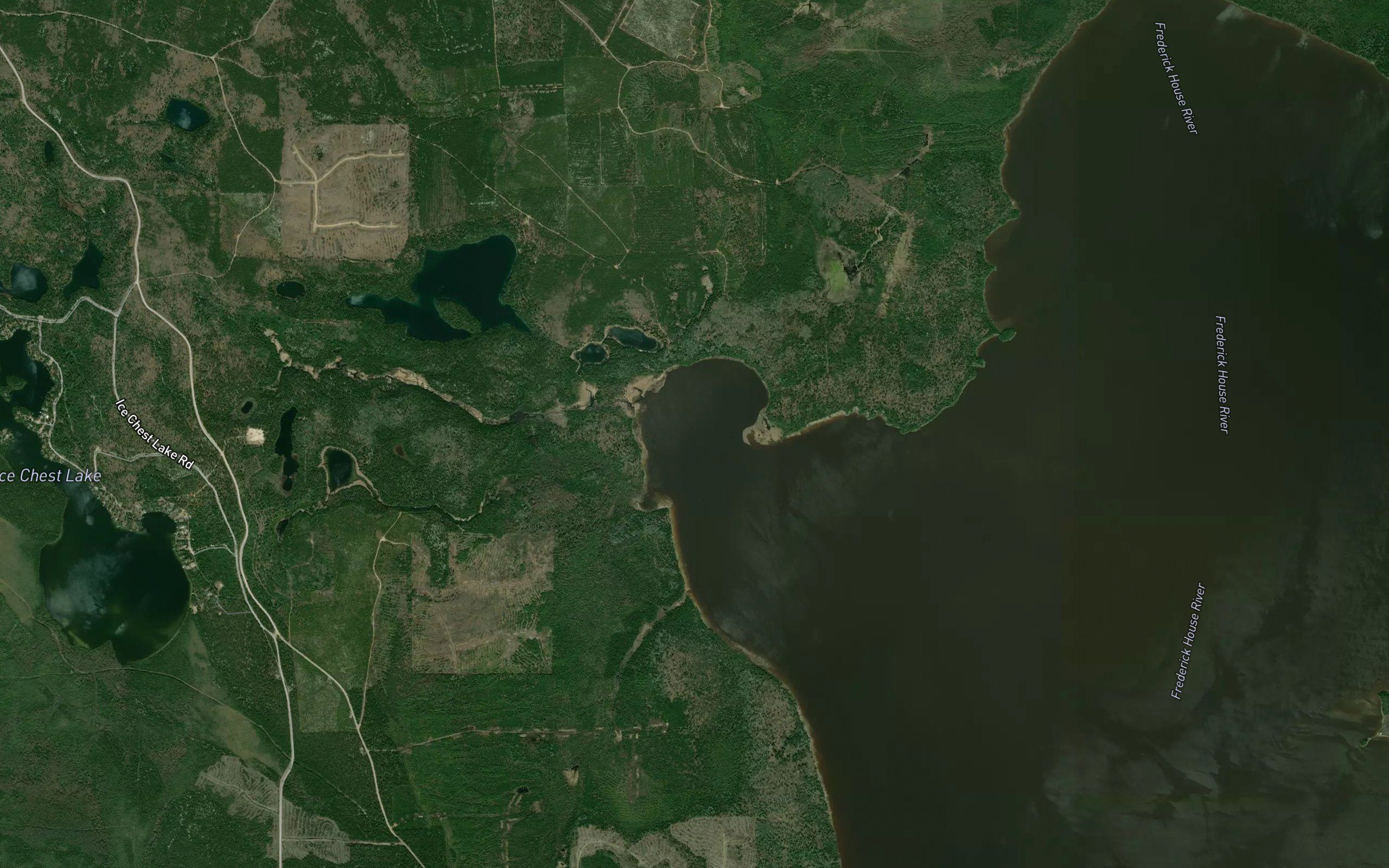 Buffalo Bay