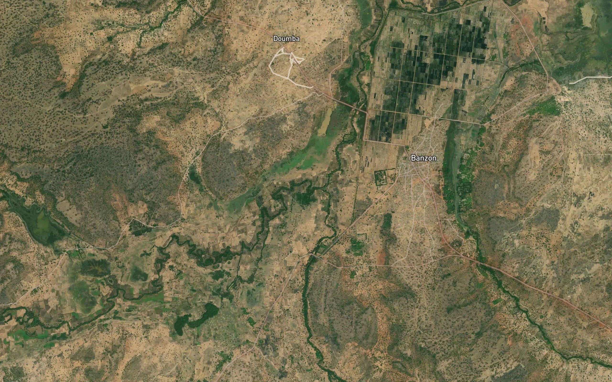 Plandi