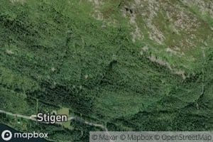 Stiengbekken