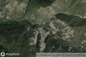 Placer Basin Creek