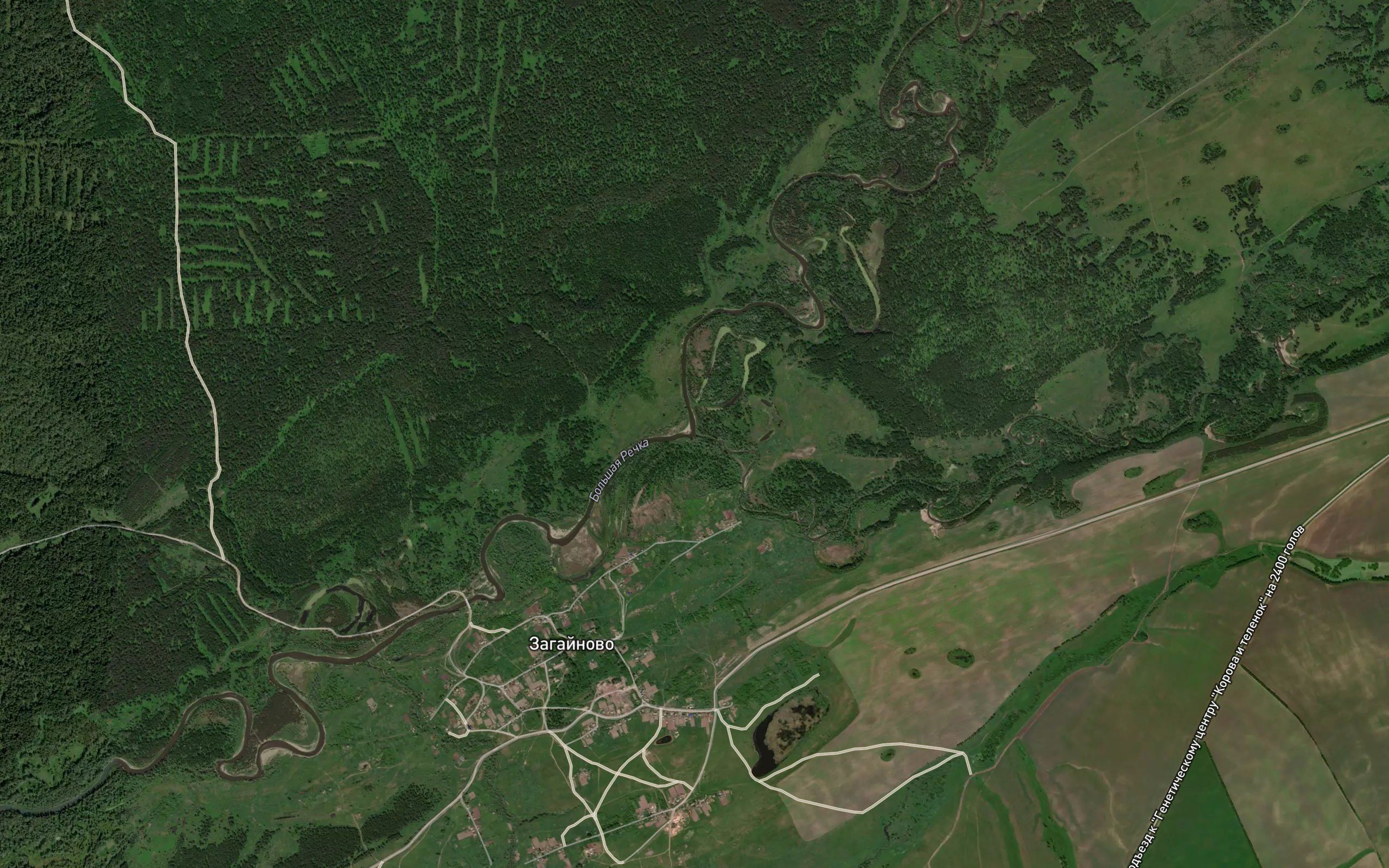 Belaya