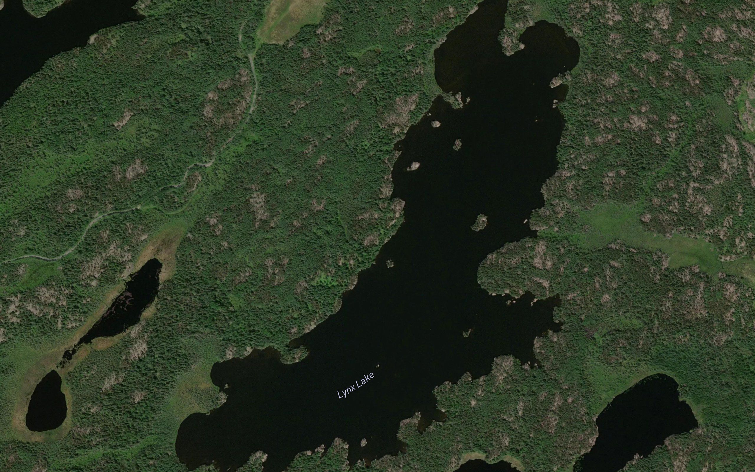 Lynx Lake