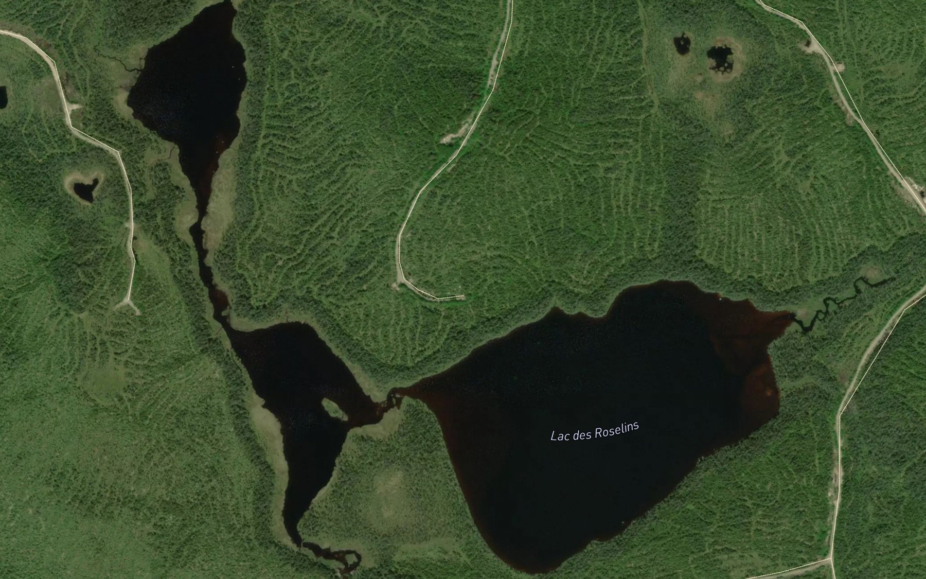 Satellite map of the Lac des Roselins