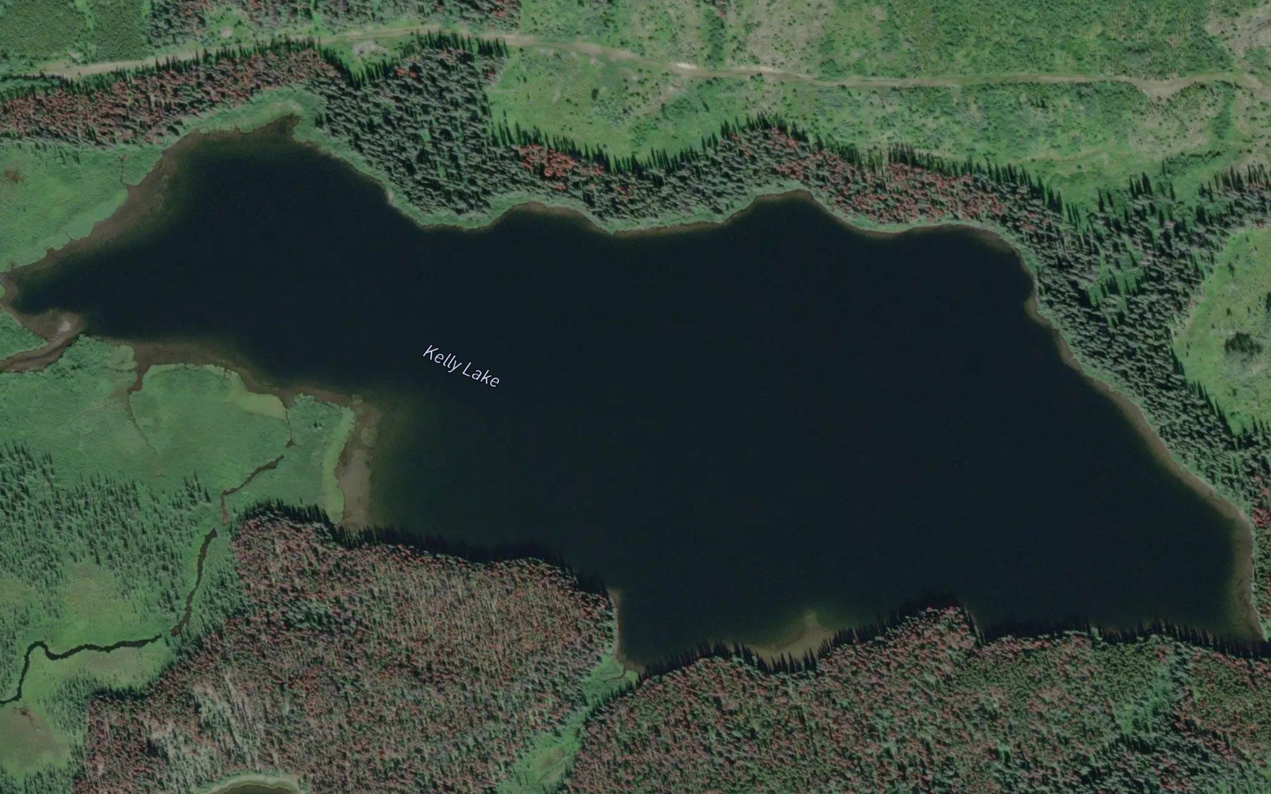 Kelly Lake