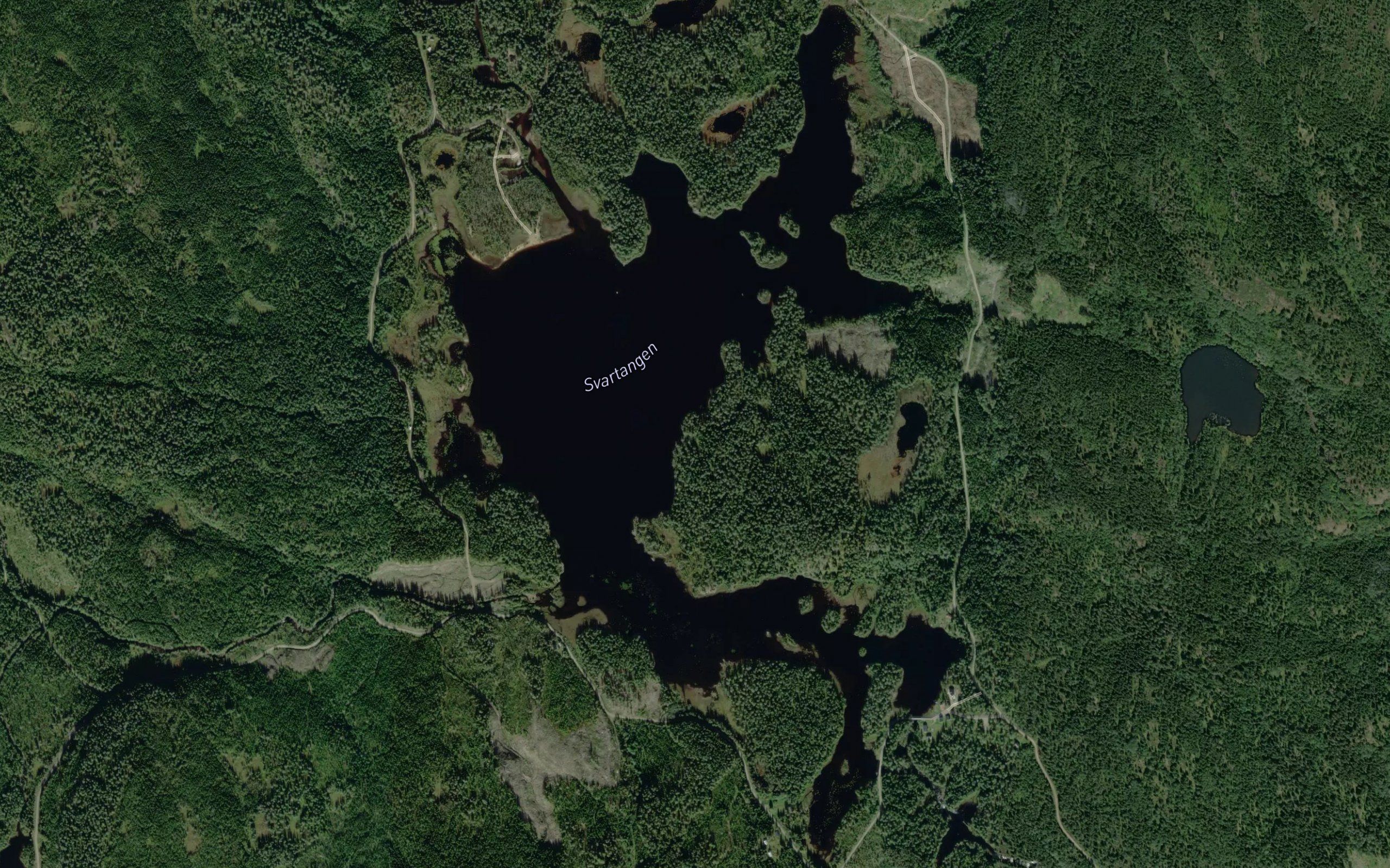 Svartangen