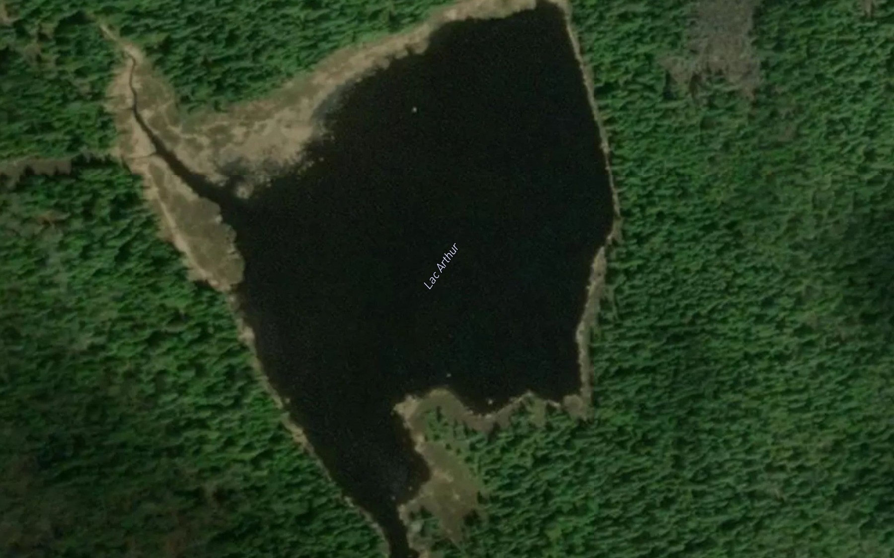 Satellite map of the Lac Arthur
