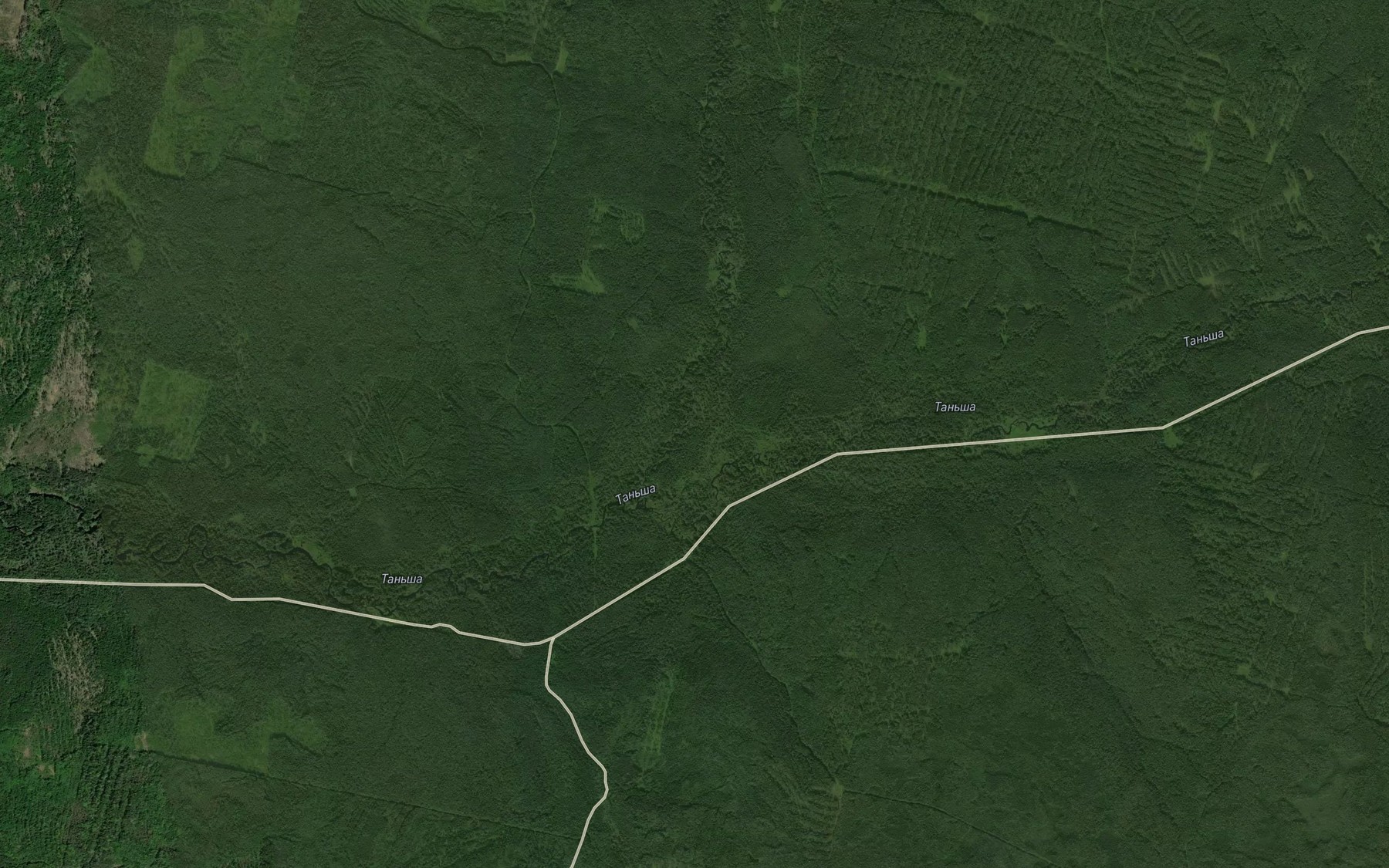 Satellite map of the Pasynoye
