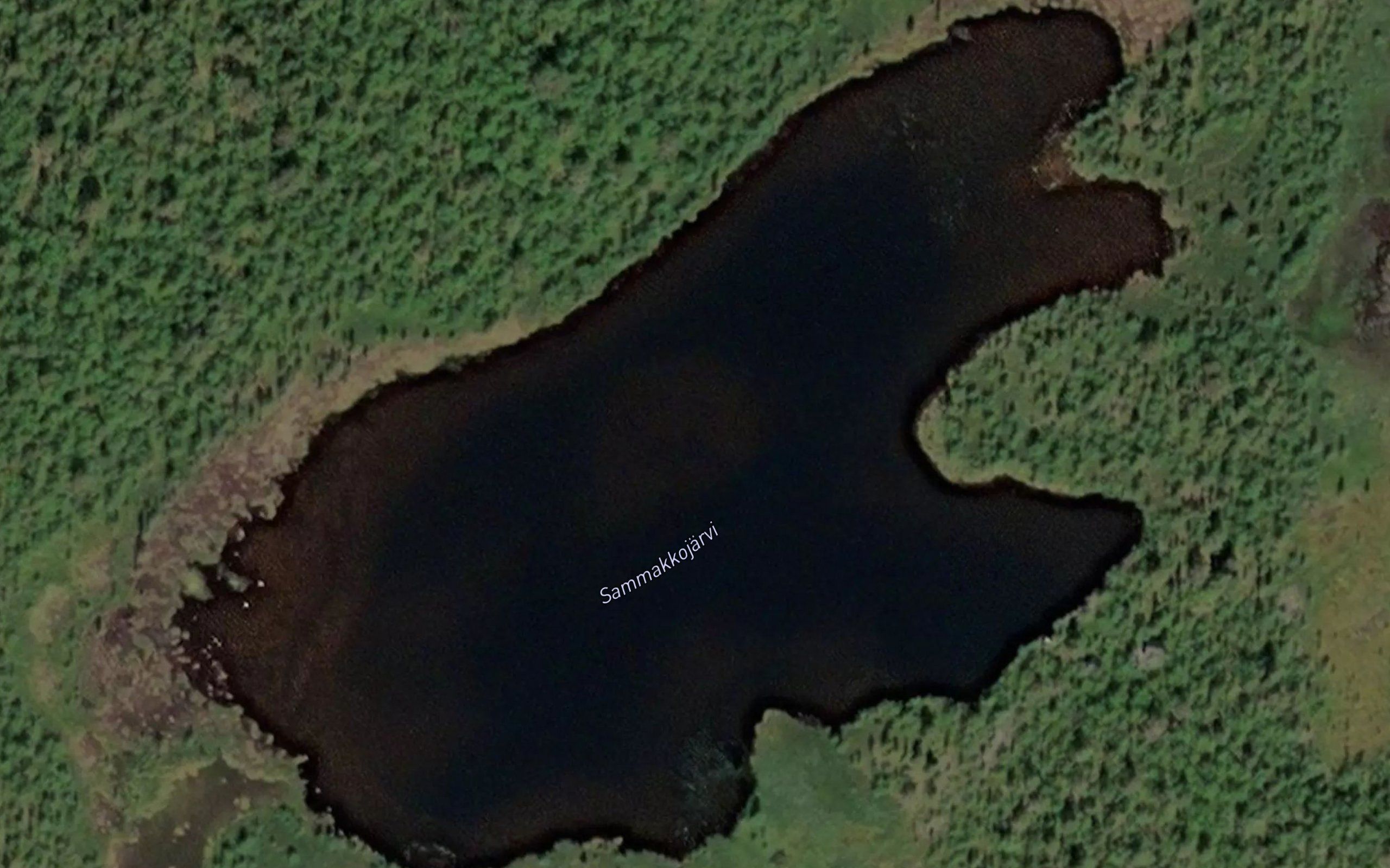 Sammakkojarvi