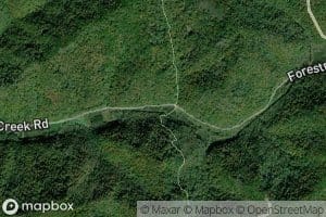 Venus Branch