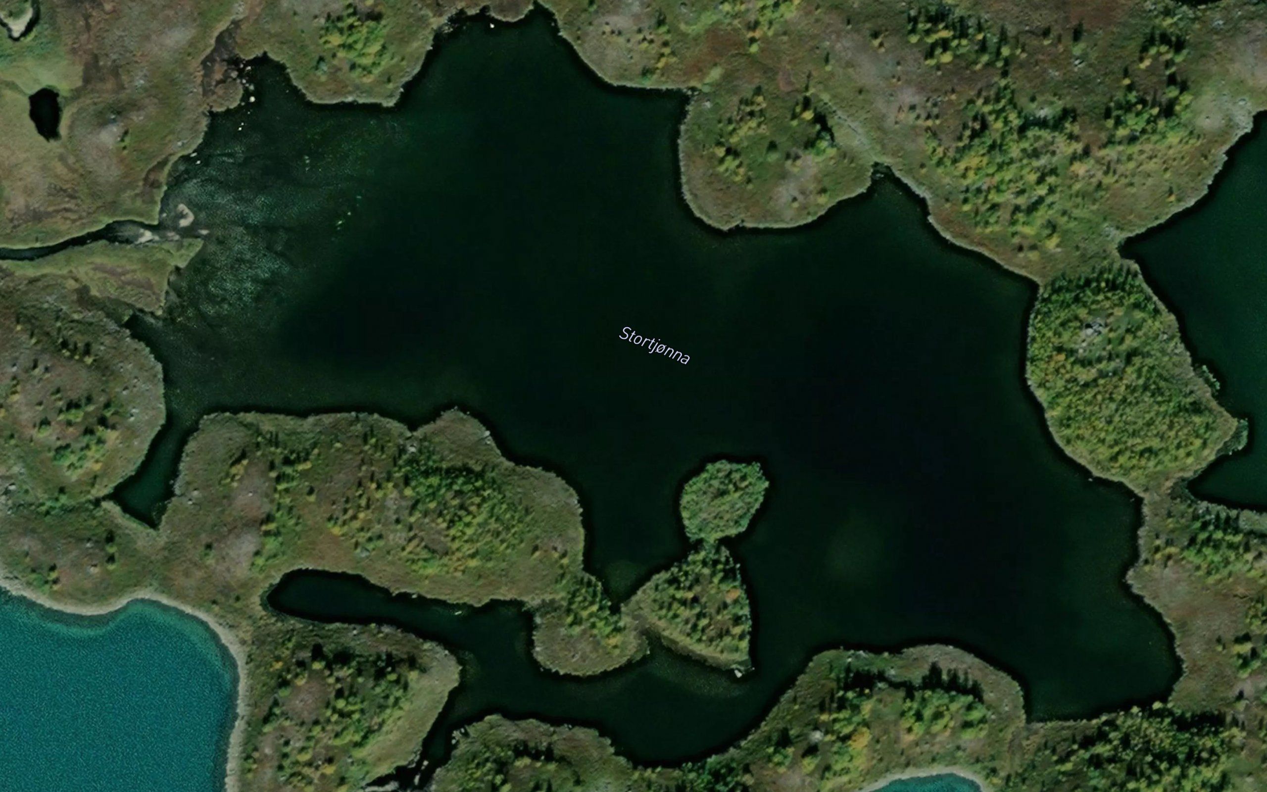 Stortjorna