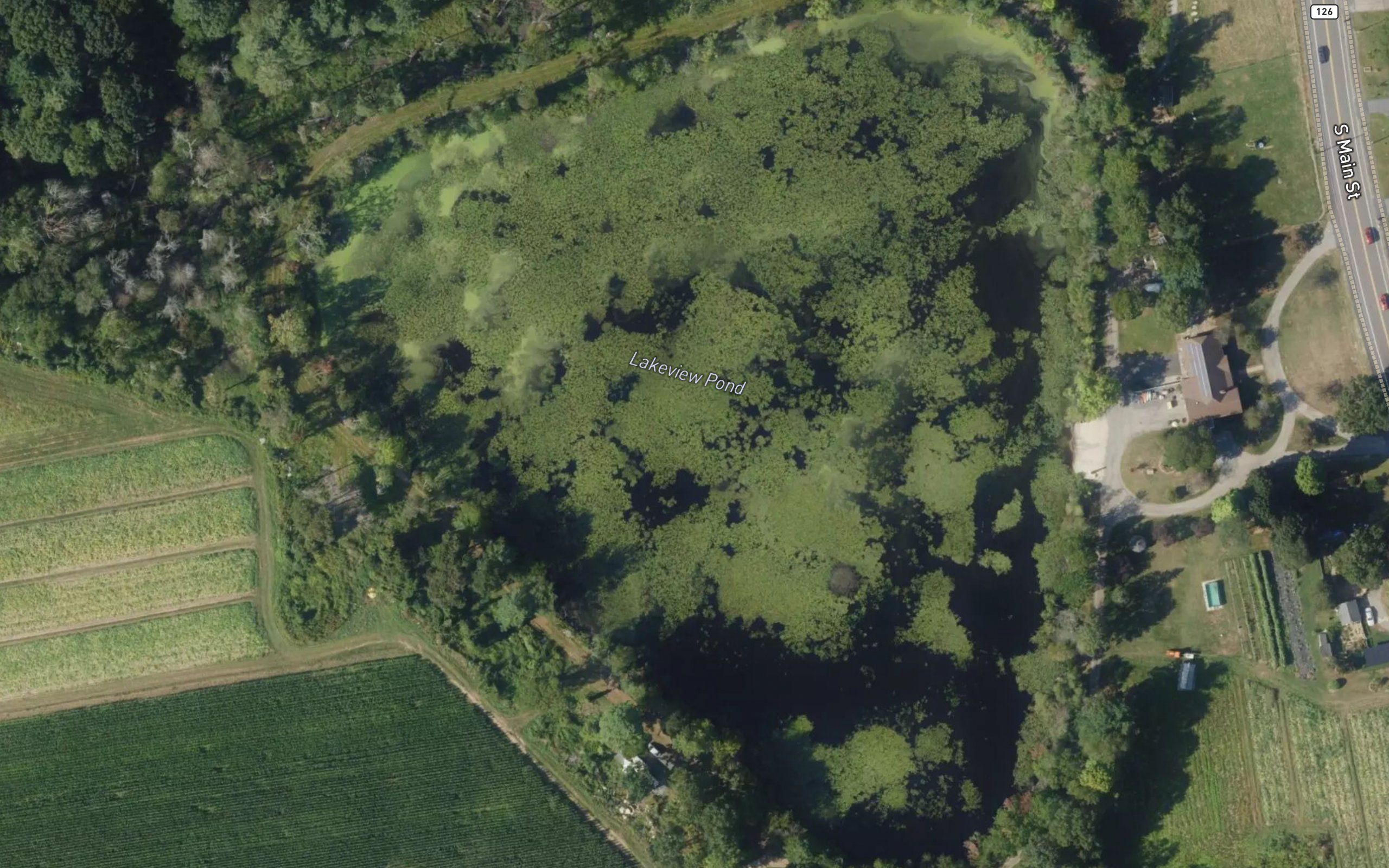 Lakeview Pond