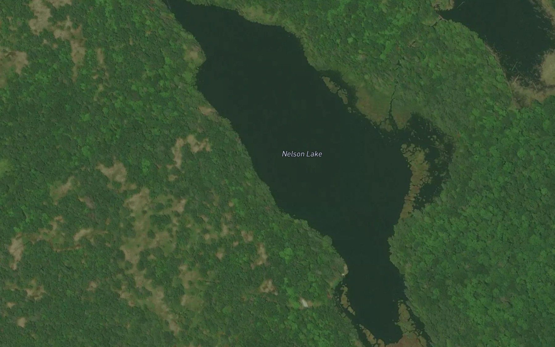 Satellite map of the Nelson Lake