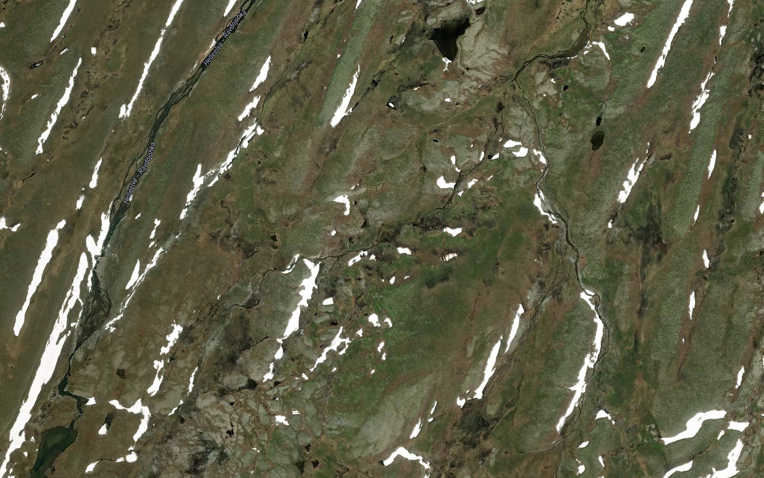 Fielbmajakka