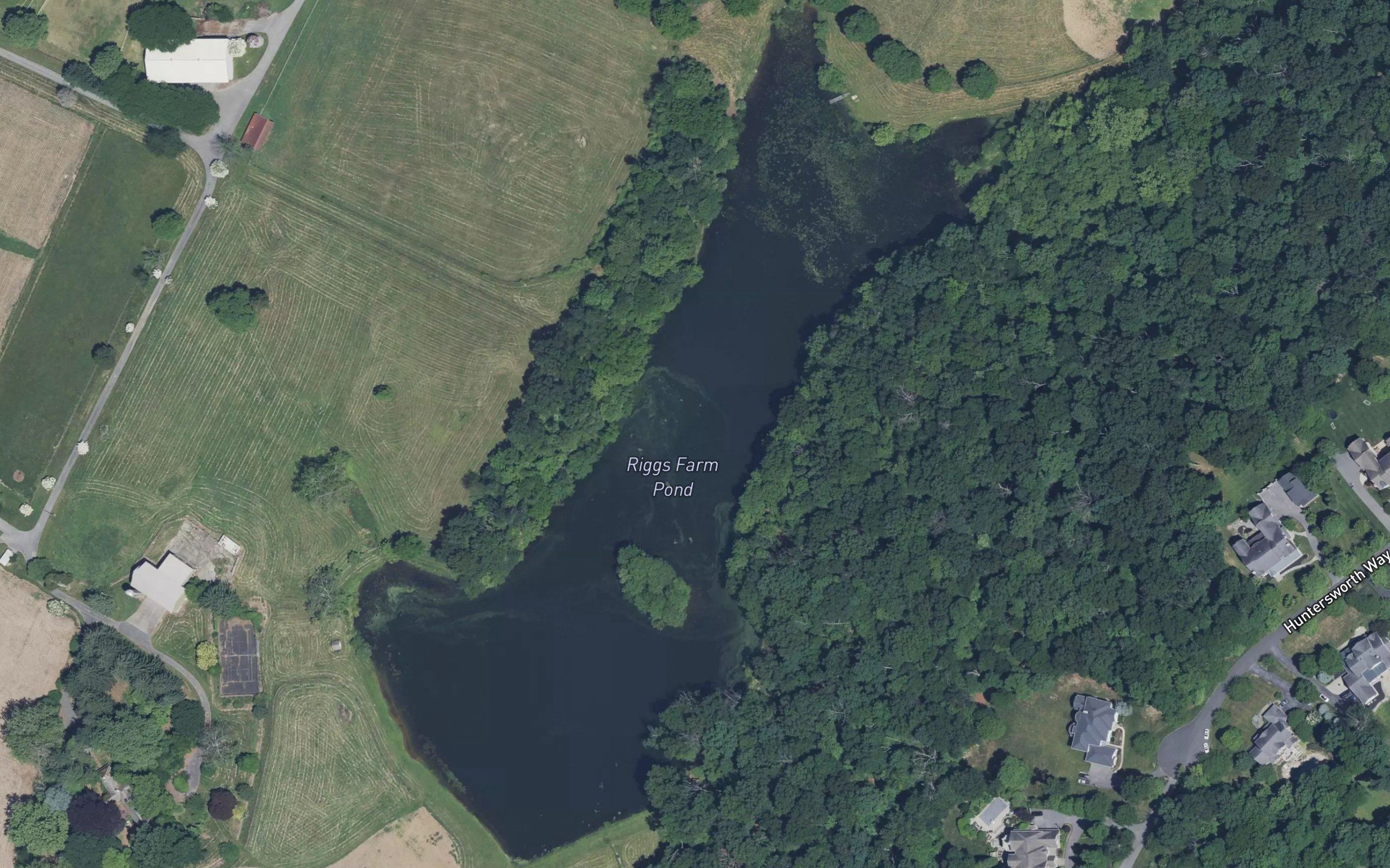 Bernstein Farm Pond