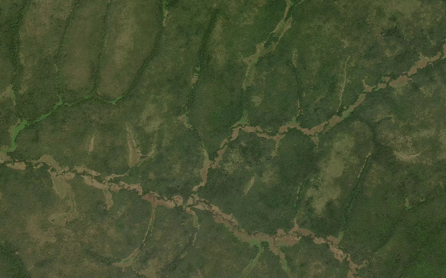Satellite map of the Manguzeze
