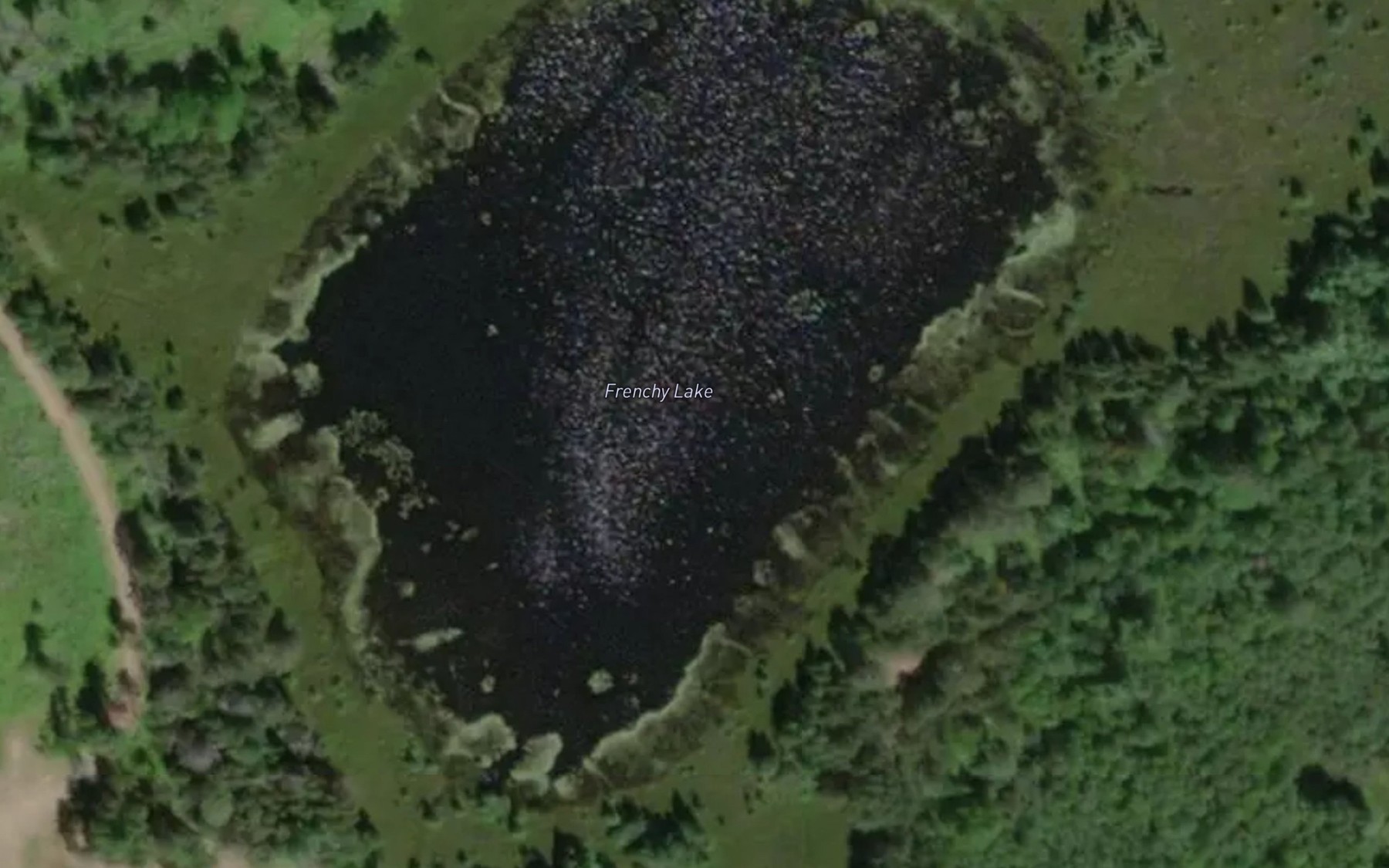 Satellite map of the Frenchy Lake