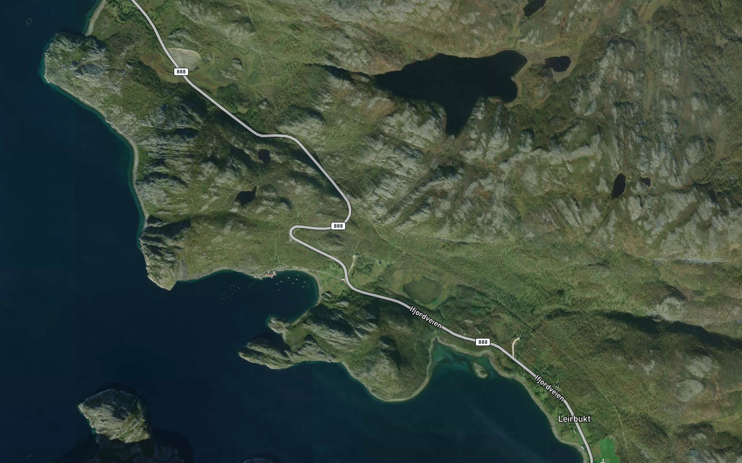 Seiboselva