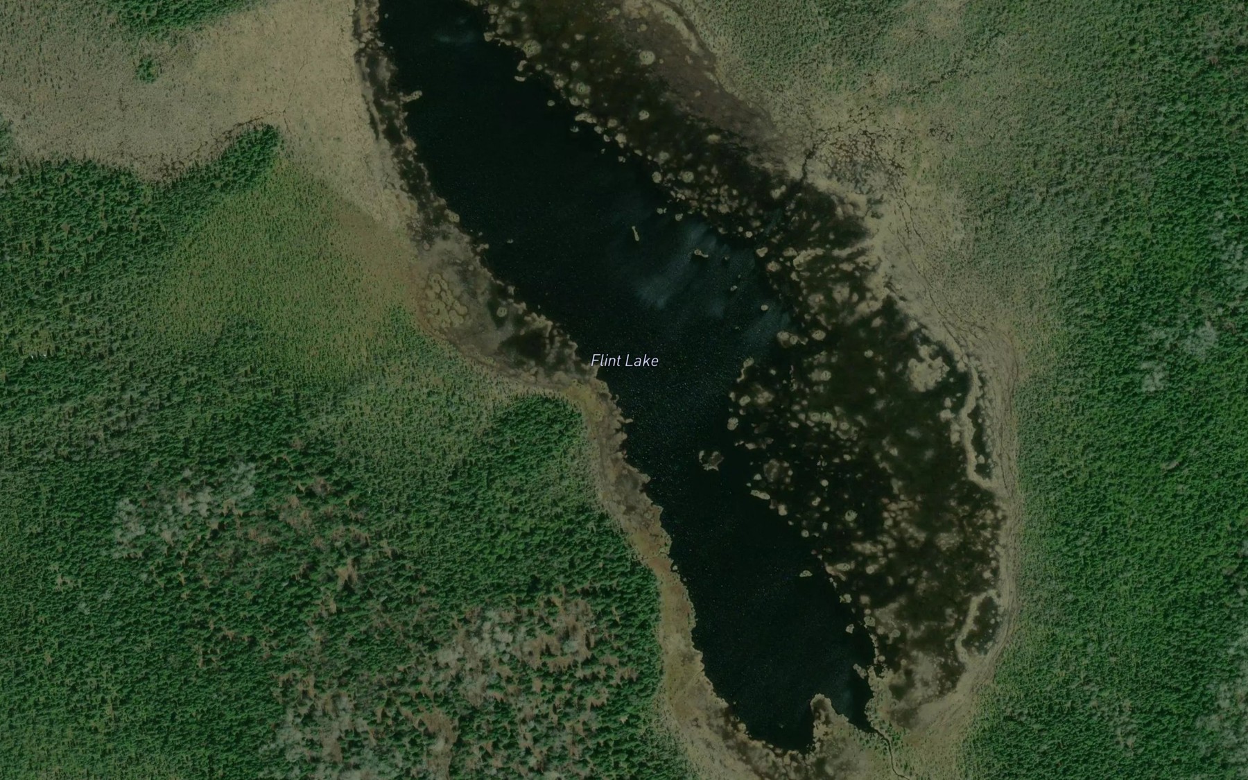 Satellite map of the Flint Lake
