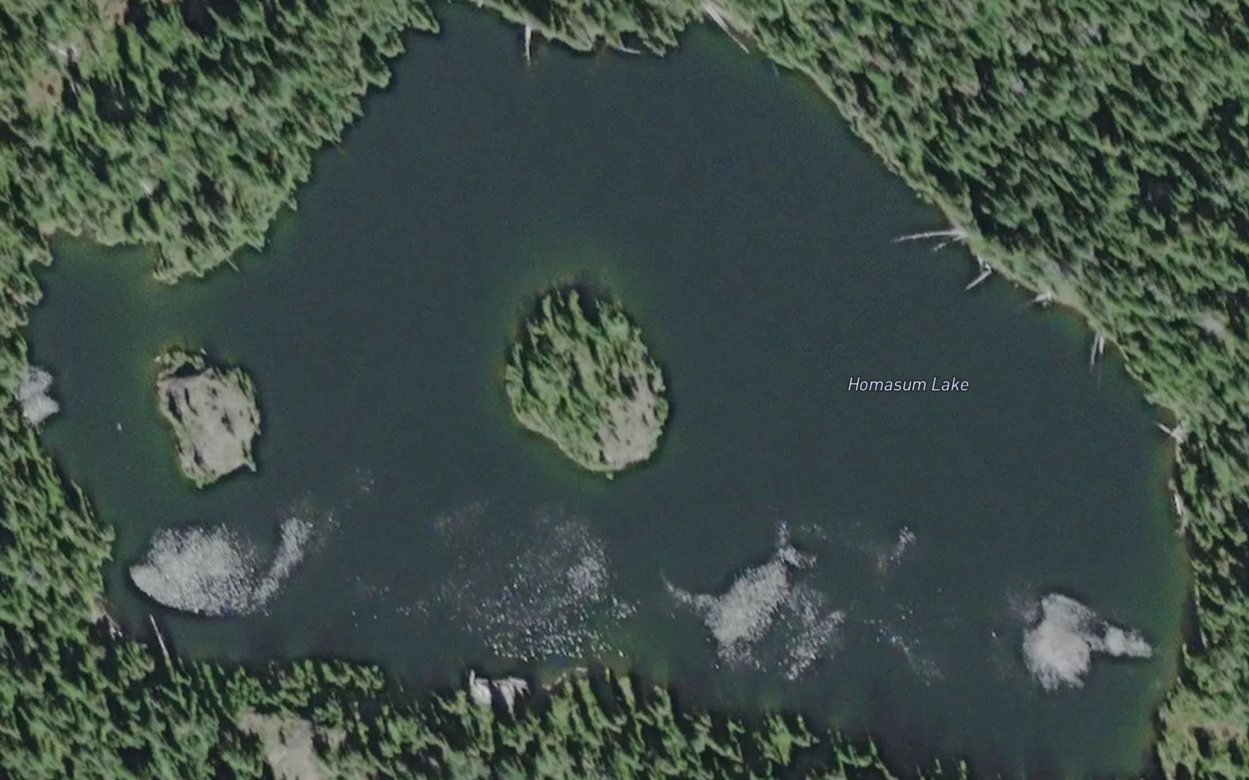 Homasum Lake