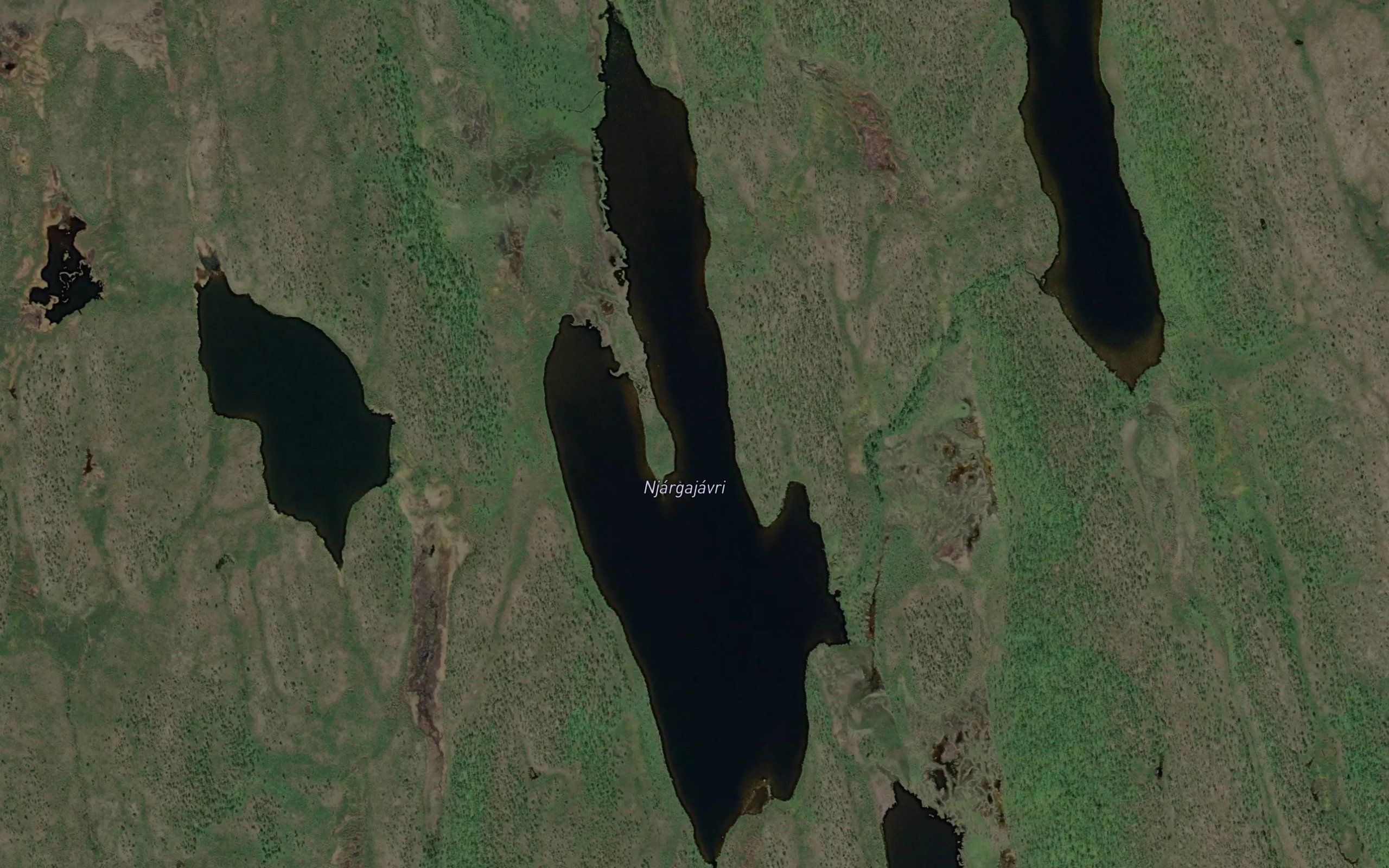 Njargajavri