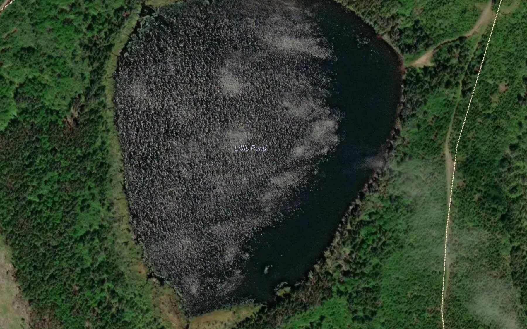 Satellite map of the Lillis Pond