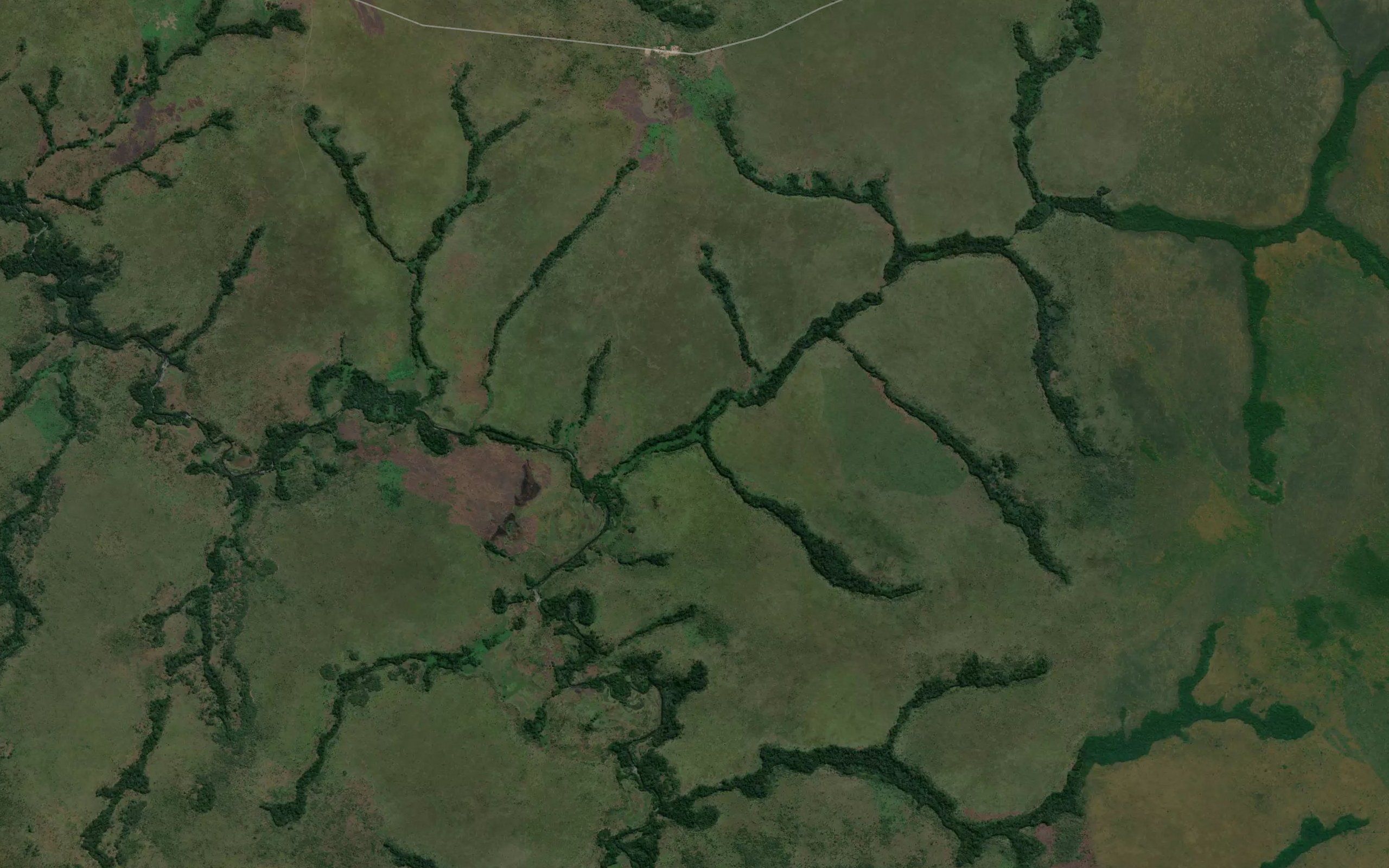 Nalubenda