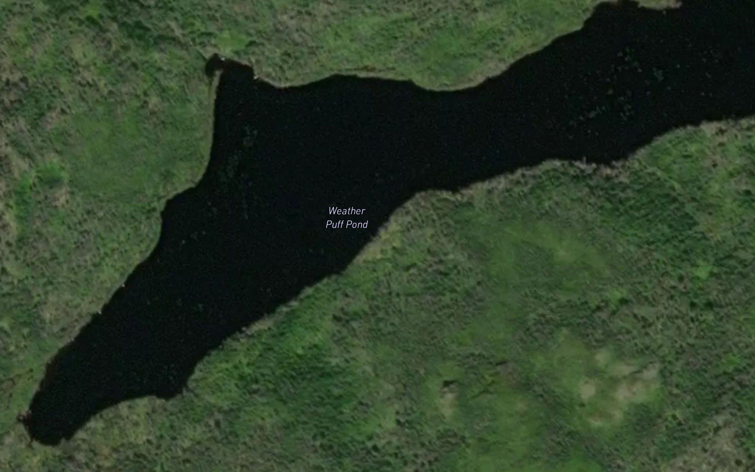 Weather Puff Pond