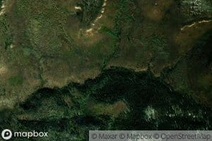 Bunch Ground Branch Blue Creek