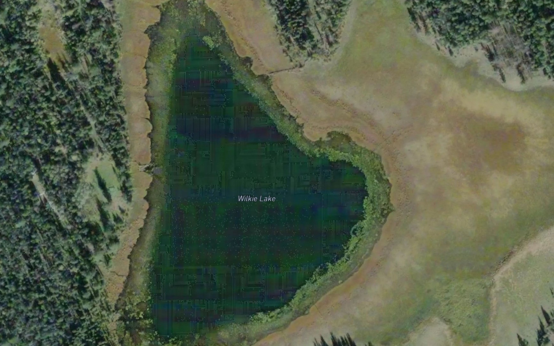Satellite map of the Wilkie Lake