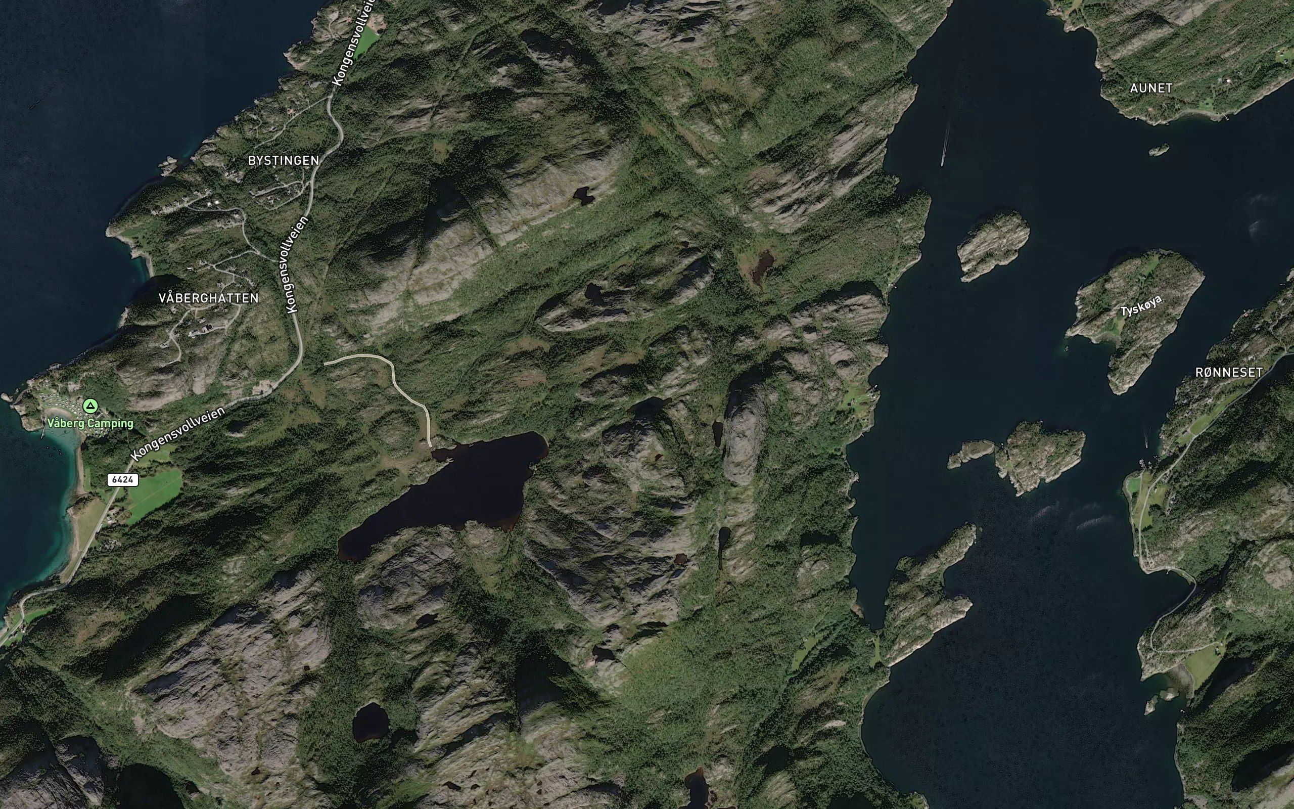 Steintjorna